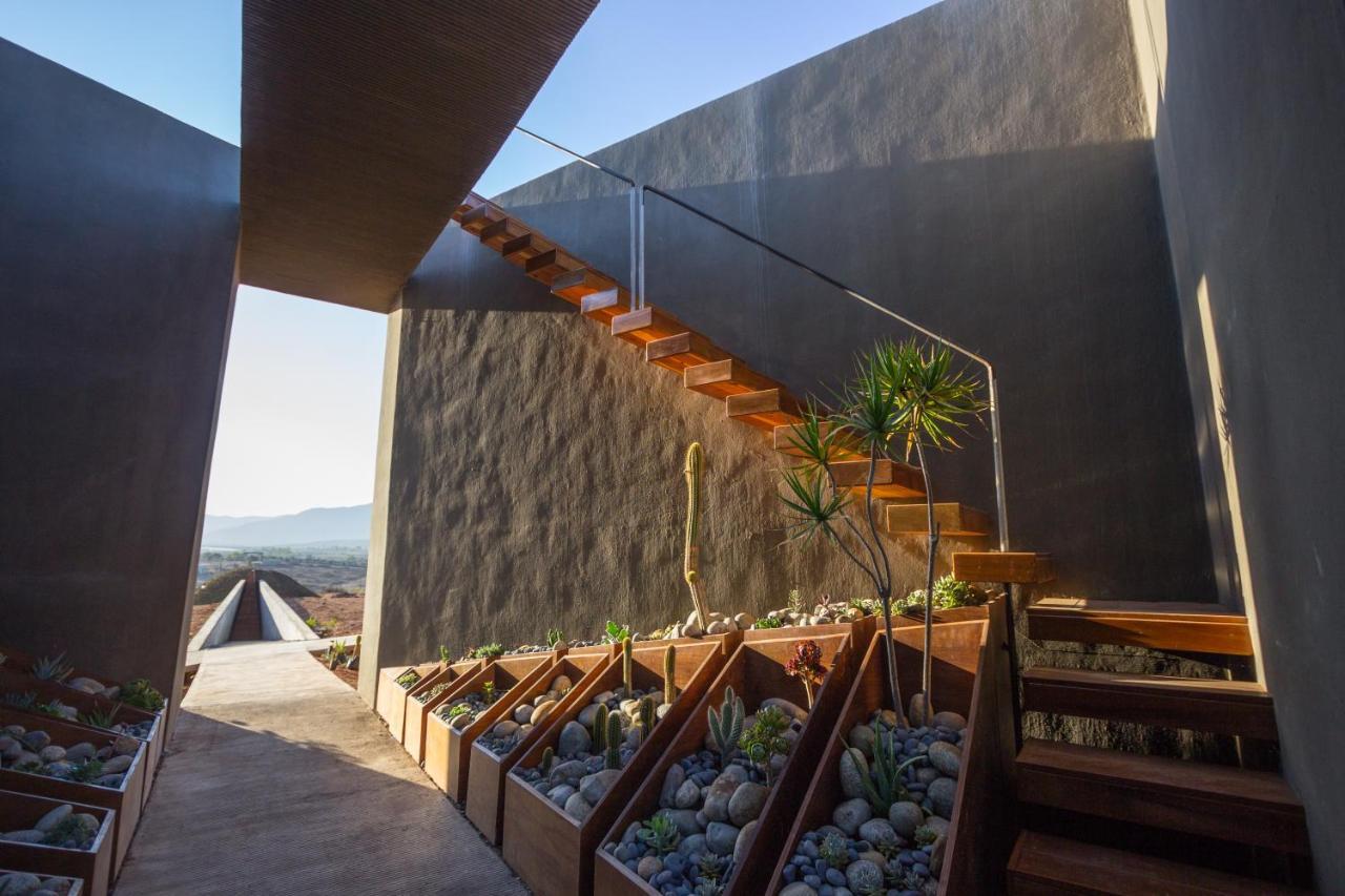 Santulan Bed & Breakfast Valle de Guadalupe Eksteriør bilde